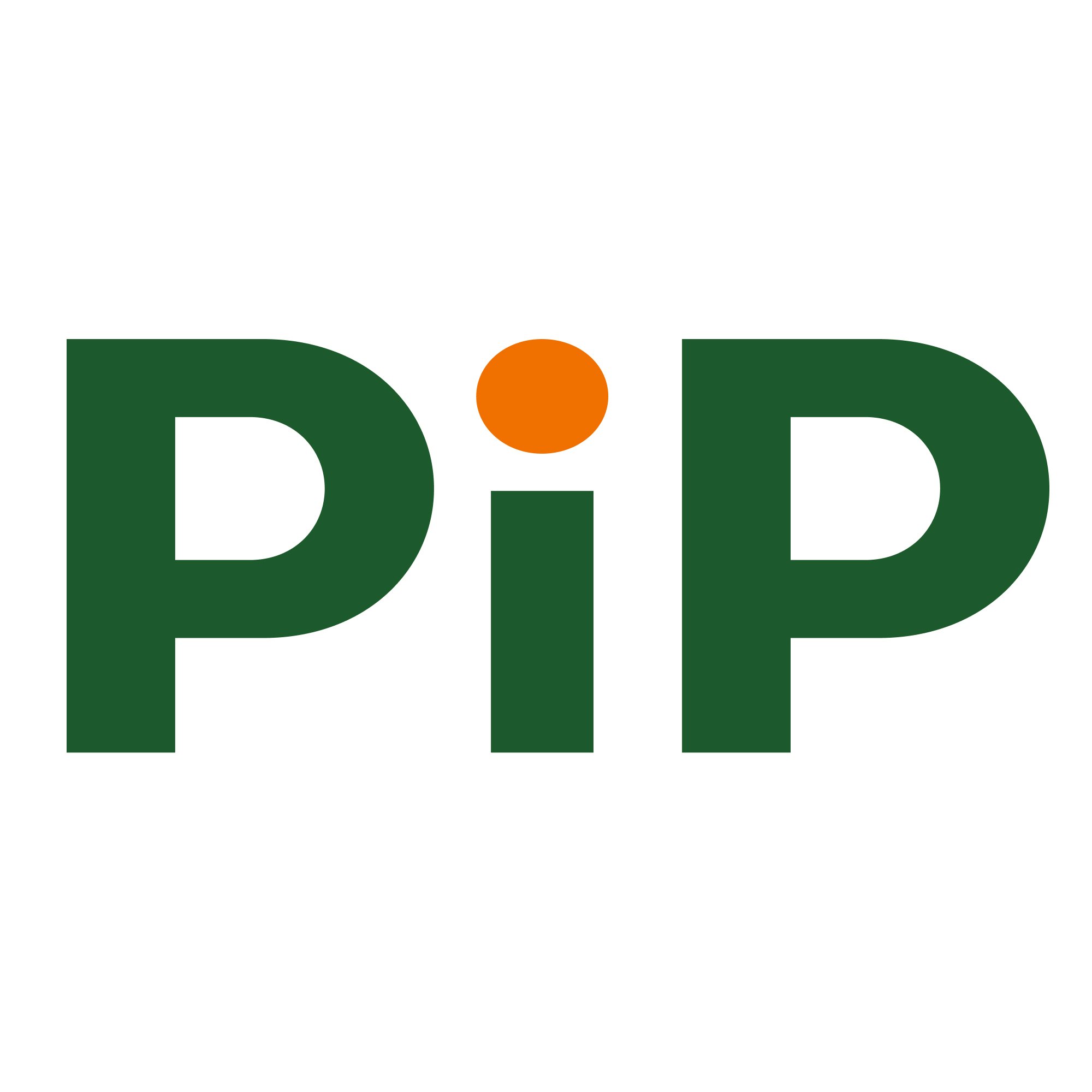 PIP LOGO
